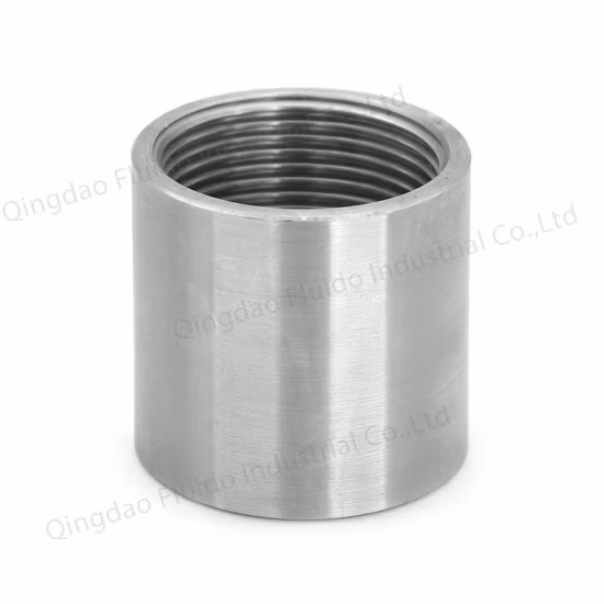 Stainless Steel Pipe Fittings Coupling Socket Hexagon Nipples Bushing