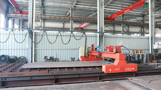 Customized Hard Teeth Transmission Pinion Worm Straight Gear for Gearbox