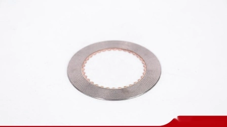 Machinery Parts Brake Friction Disc ISO9001