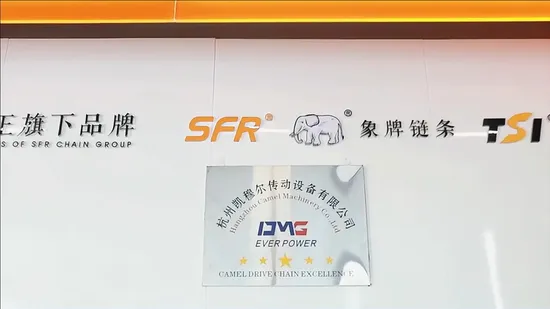 Durable Motorcycle Chain with ISO 606 Precision and Reduced Wear Rate 525