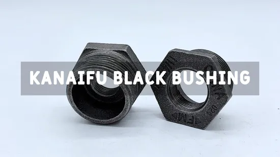 Kanaifu BS Em Malleable Iron Mi Pipe Fitting Bushing with European Standard 